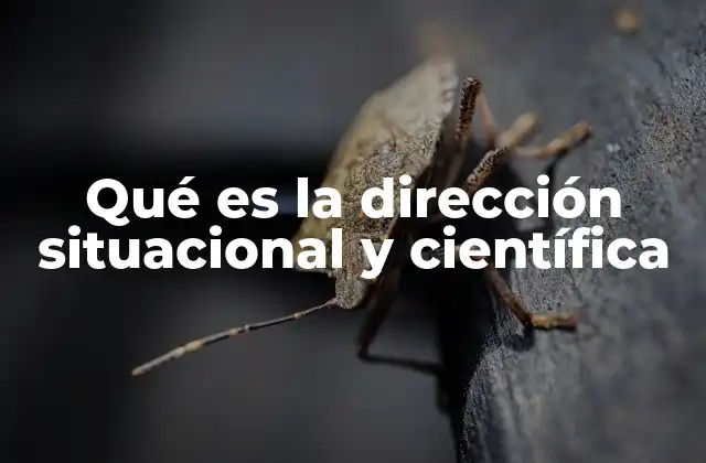 Qué es la Dirección Situacional y Científica