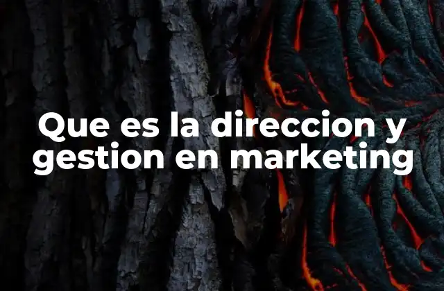 Que es la Direccion y Gestion en Marketing