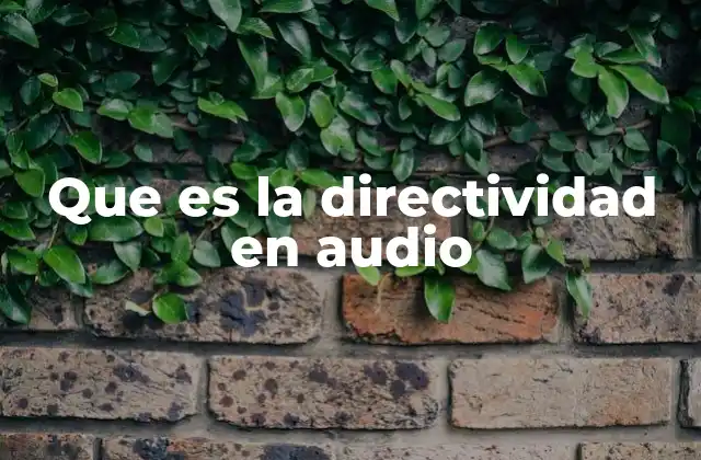 Que es la Directividad en Audio