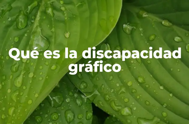 Qué es la Discapacidad Gráfico