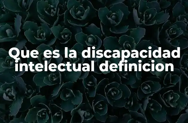 Que es la Discapacidad Intelectual Definicion