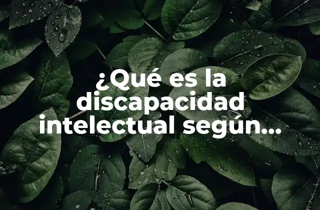 ¿qué es la Discapacidad Intelectual según Autores?
