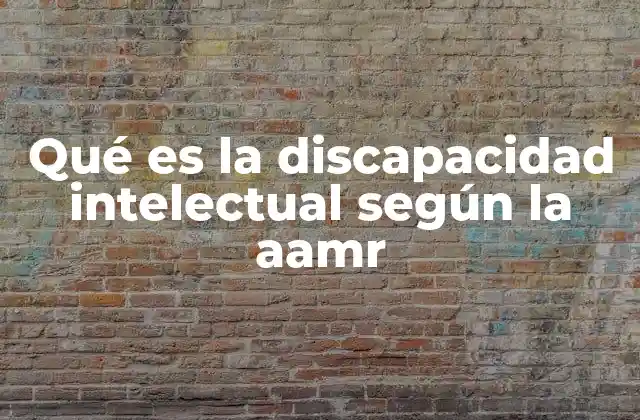 Características de la discapacidad intelectual desde una perspectiva integral