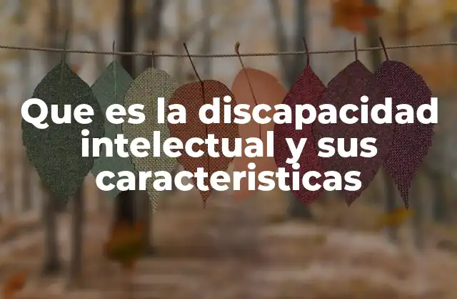 Que es la Discapacidad Intelectual y Sus Caracteristicas