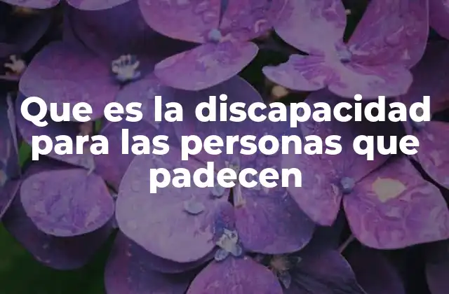 Que es la Discapacidad para las Personas que Padecen