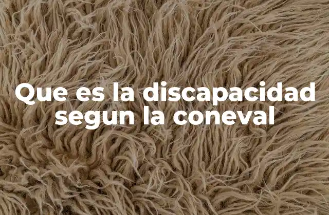 Que es la Discapacidad Segun la Coneval