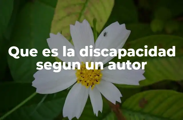 Que es la Discapacidad Segun un Autor 2 La visión académica sobre la discapacidad