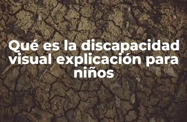Qué es la Discapacidad Visual Explicación para Niños