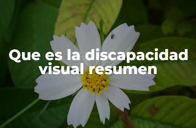 Que es la Discapacidad Visual Resumen