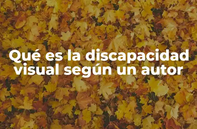 Qué es la Discapacidad Visual según un Autor