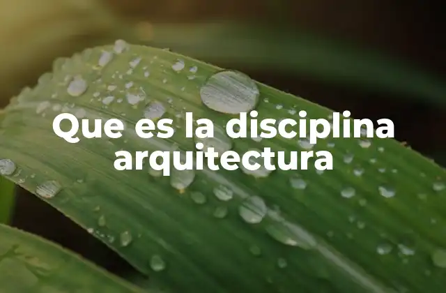 Que es la Disciplina Arquitectura