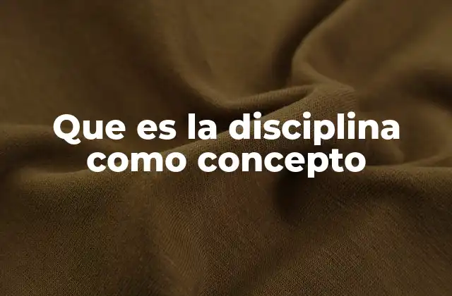 Que es la Disciplina como Concepto