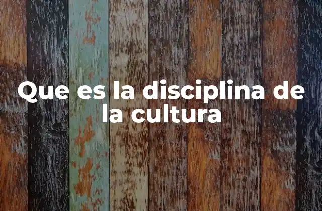 Que es la Disciplina de la Cultura