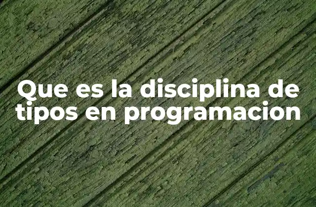 Que es la Disciplina de Tipos en Programacion 2 La importancia de la consistencia en el manejo de datos