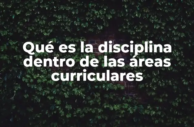 Qué es la Disciplina Dentro de las Áreas Curriculares