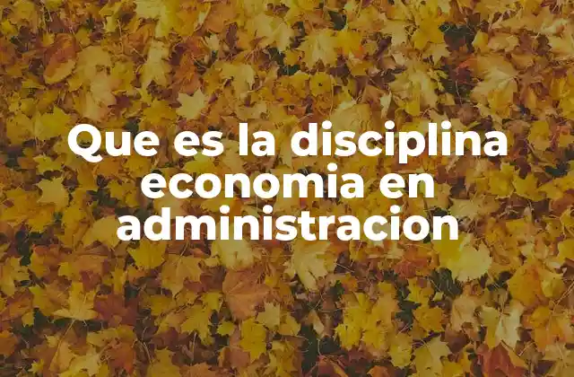 Que es la Disciplina Economia en Administracion