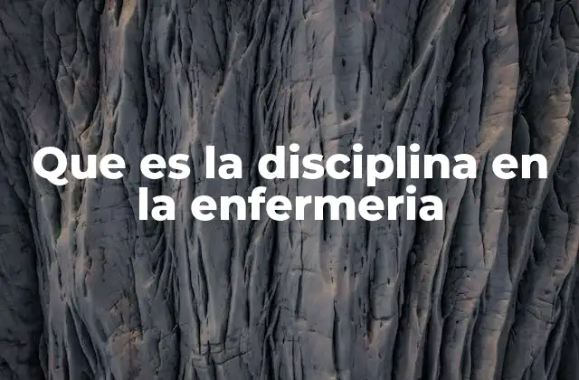 Que es la Disciplina en la Enfermeria