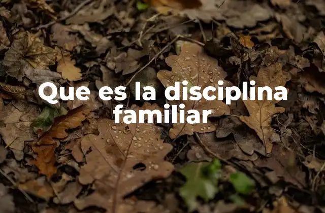 Que es la Disciplina Familiar