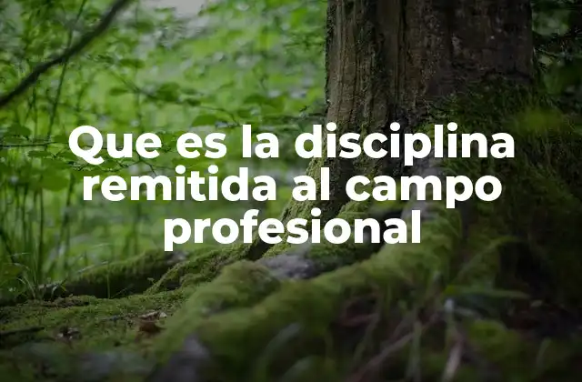 Que es la Disciplina Remitida Al Campo Profesional