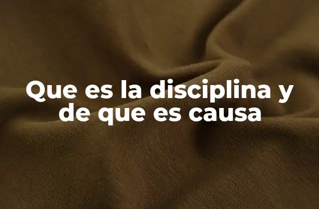Que es la Disciplina y de que es Causa