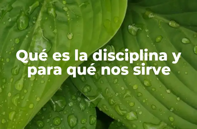 Qué es la Disciplina y para Qué Nos Sirve
