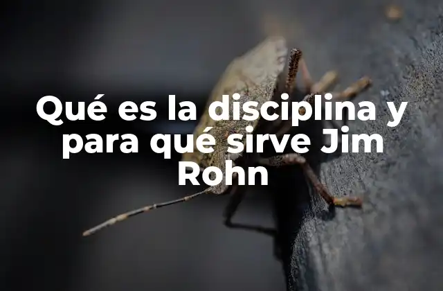 Qué es la Disciplina y para Qué Sirve Jim Rohn