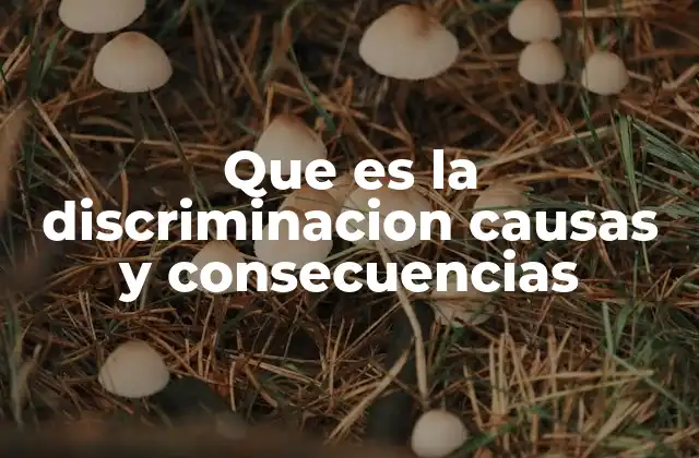 Que es la Discriminacion Causas y Consecuencias
