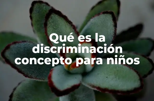 Qué es la Discriminación Concepto para Niños