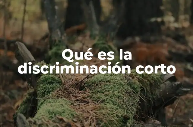 Qué es la Discriminación Corto