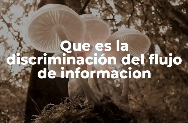 Que es la Discriminación Del Flujo de Informacion