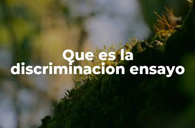 Que es la Discriminacion Ensayo