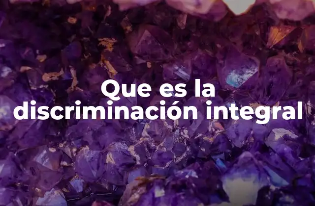 Que es la Discriminación Integral