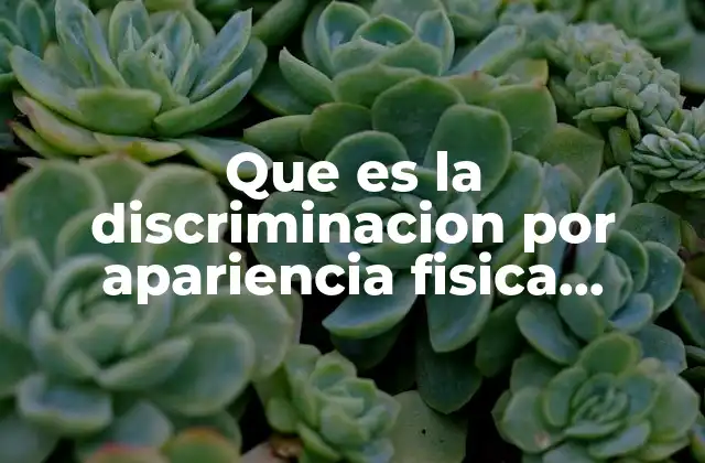 Que es la Discriminacion por Apariencia Fisica Puebla