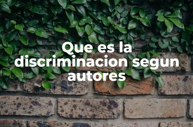 Que es la Discriminacion Segun Autores