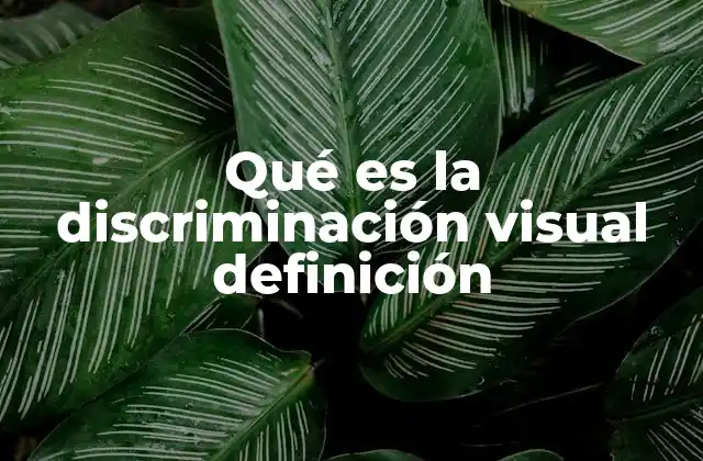 La importancia de la discriminación visual en la percepción humana