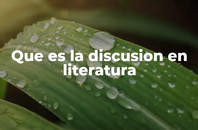 Que es la Discusion en Literatura