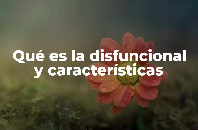 Qué es la Disfuncional y Características