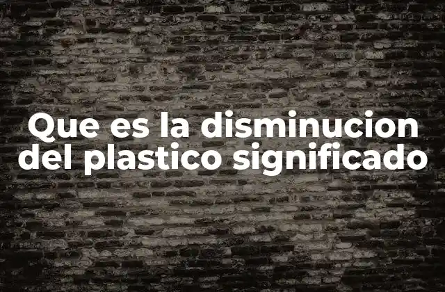 Que es la Disminucion Del Plastico Significado