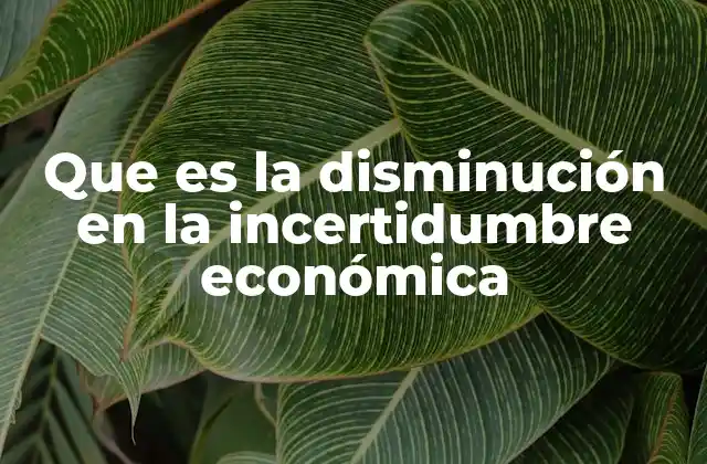 Que es la Disminución en la Incertidumbre Económica