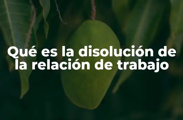 Qué es la Disolución de la Relación de Trabajo