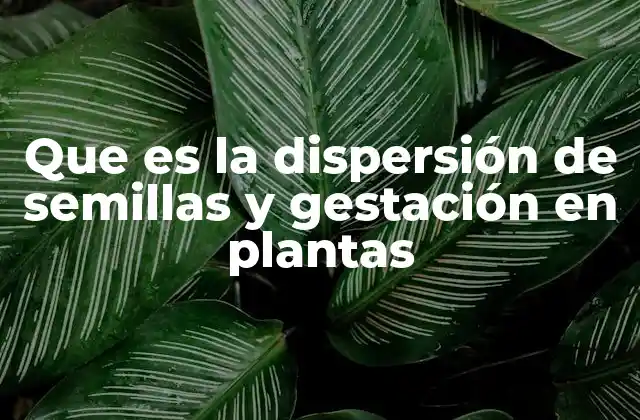 Que es la Dispersión de Semillas y Gestación en Plantas
