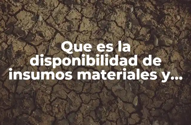 Que es la Disponibilidad de Insumos Materiales y Recursos Humanos