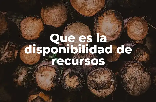 Que es la Disponibilidad de Recursos