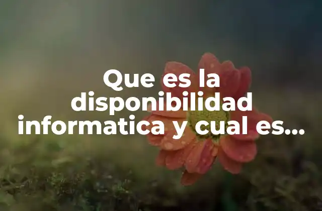 Que es la Disponibilidad Informatica y Cual es Su Importancia