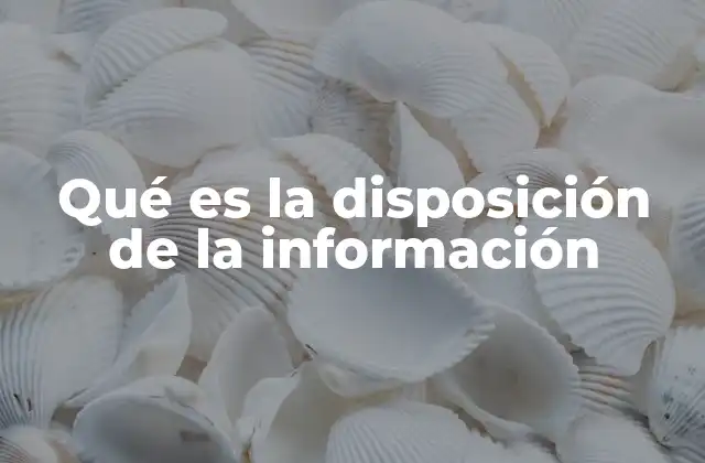 Qué es la Disposición de la Información