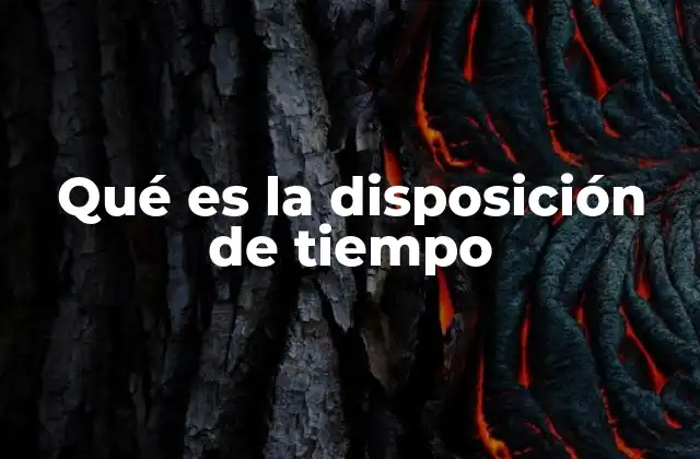 Qué es la Disposición de Tiempo