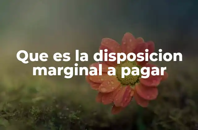 Que es la Disposicion Marginal a Pagar