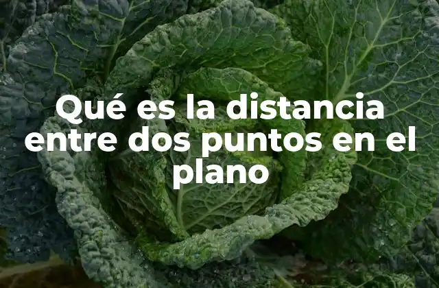 Qué es la Distancia entre Dos Puntos en el Plano
