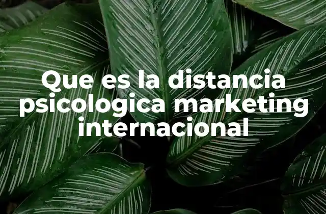 Que es la Distancia Psicologica Marketing Internacional