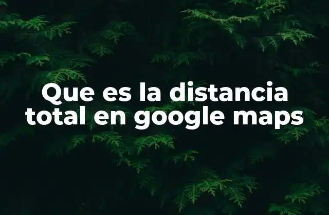 Que es la Distancia Total en Google Maps